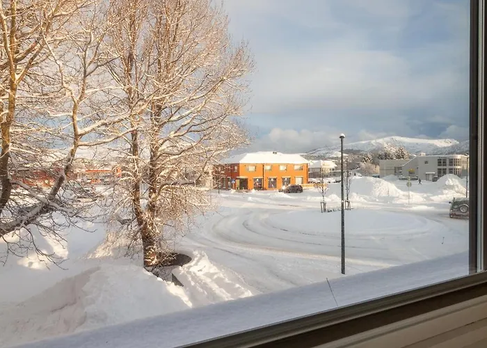 Lofoten Premium Apartment *